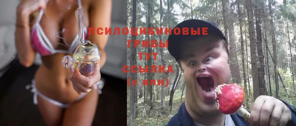ECSTASY Алексеевка